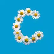 stylish c letter wallpaper stylish c letter wallpaper
